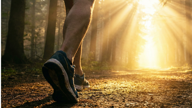 Jak wygląda proces badania RMP